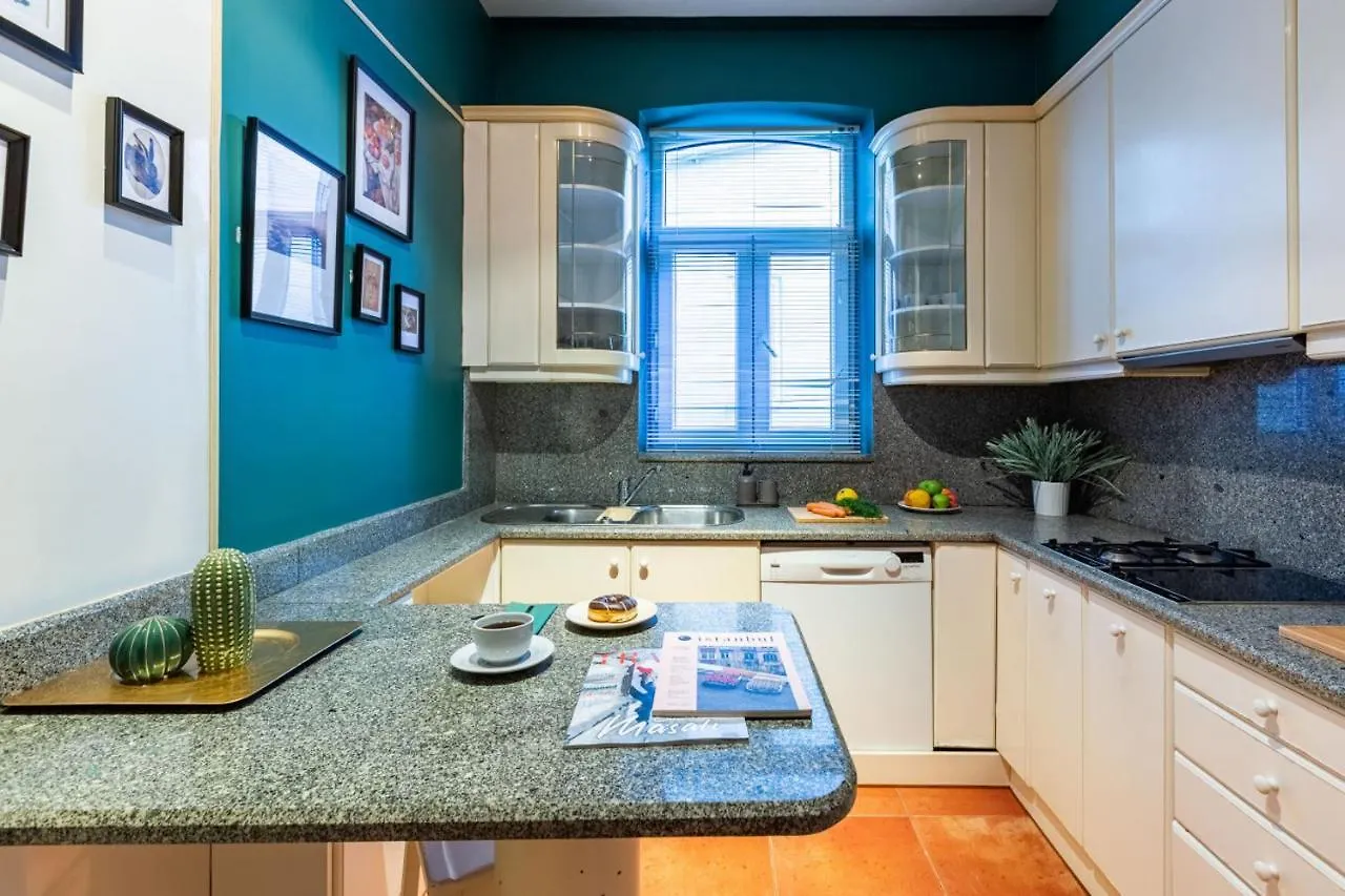Enchanting Flat In Beyoglu With Bosphorus View 이스탄불 0*,  터키